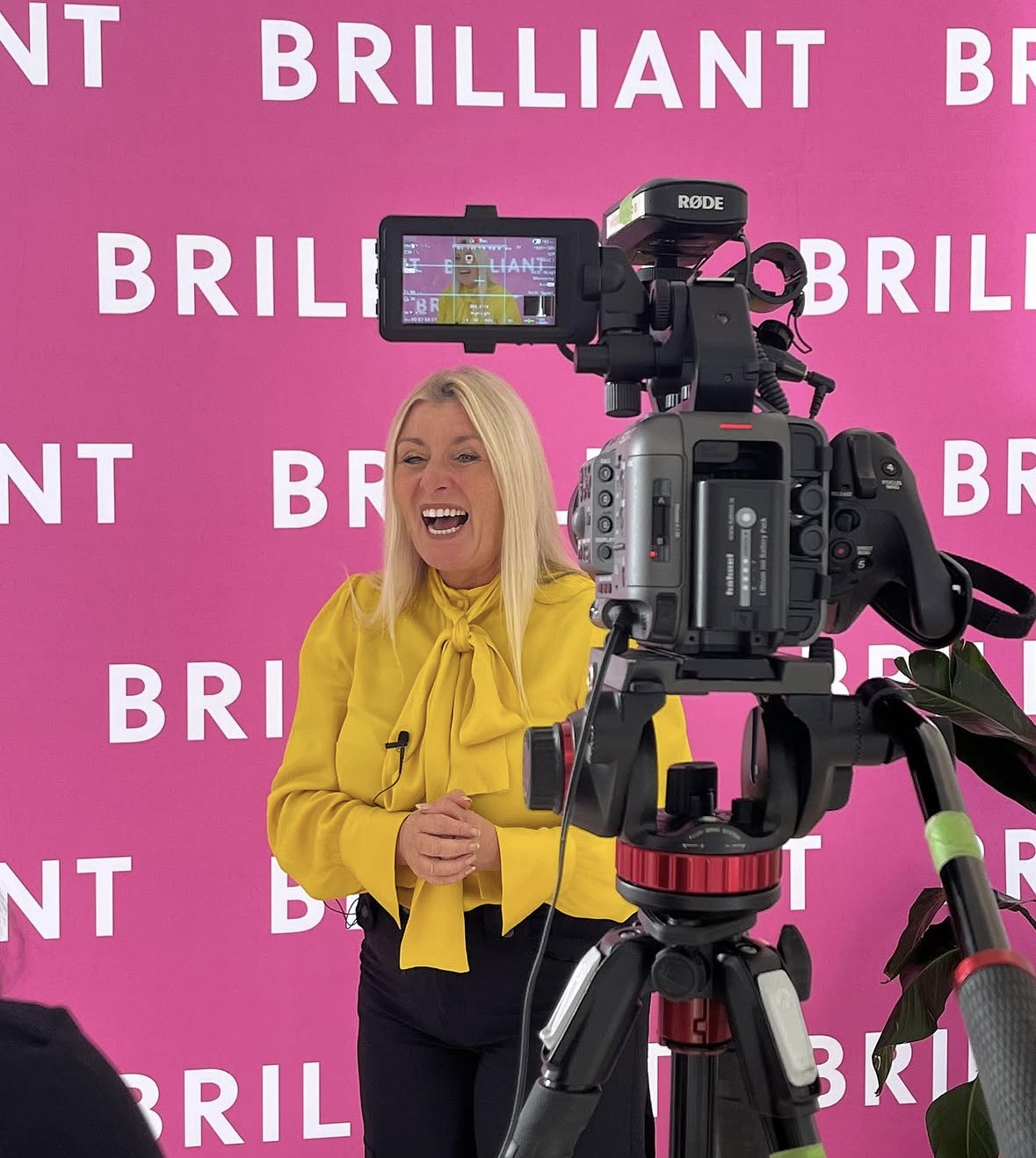Speaking & Hosting